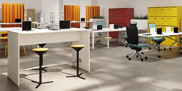 Collezione Mondoffice m'