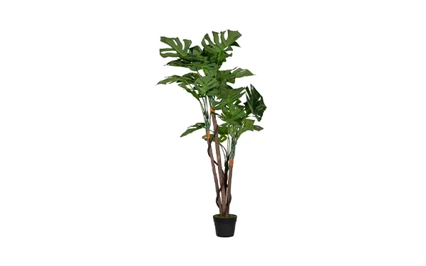 Complementi decorativi